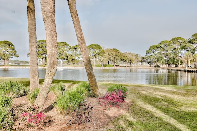 view of water feature