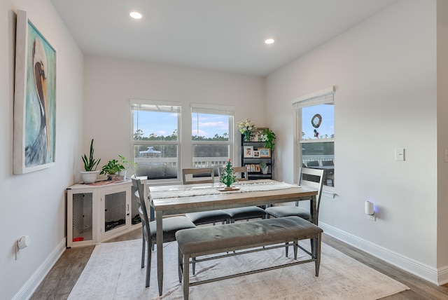 dining space with hardwood / wood-style flooring