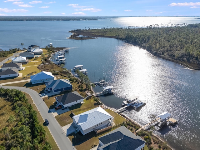 bird's eye view with a water view