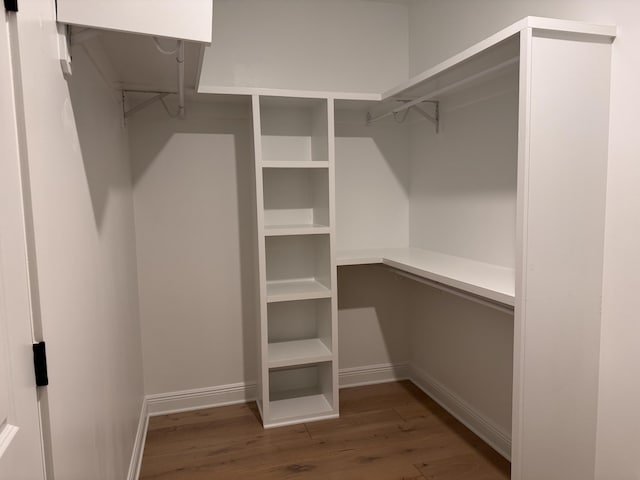 spacious closet with wood finished floors