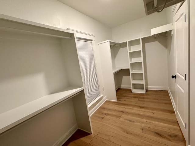 walk in closet featuring light wood finished floors