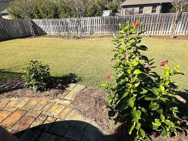 view of yard with a patio area