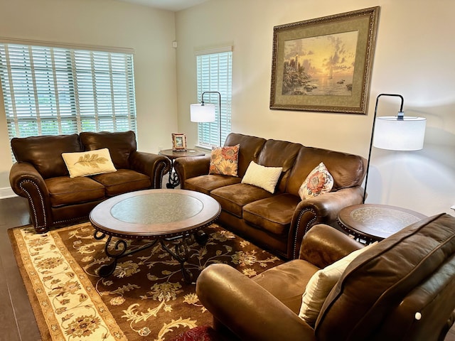 living room with hardwood / wood-style flooring