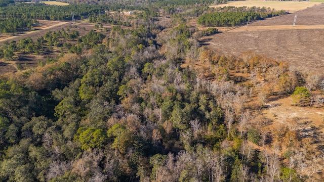 bird's eye view featuring a rural view