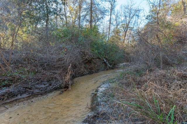 view of landscape