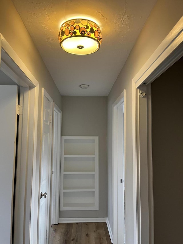 hallway featuring wood-type flooring and built in shelves