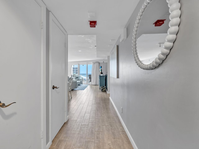 hallway featuring light hardwood / wood-style flooring