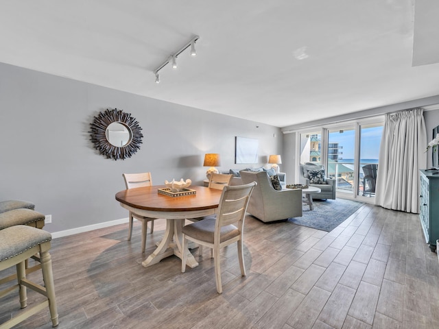 dining room with rail lighting