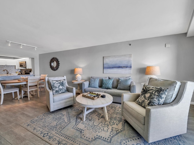 living room with hardwood / wood-style flooring, track lighting, and sink