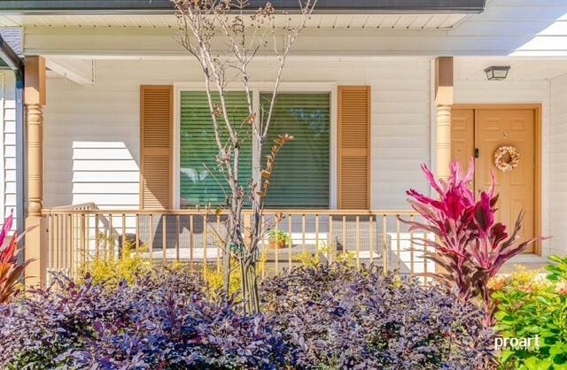 property entrance featuring a porch