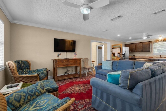 living room with a healthy amount of sunlight, a textured ceiling, and crown molding