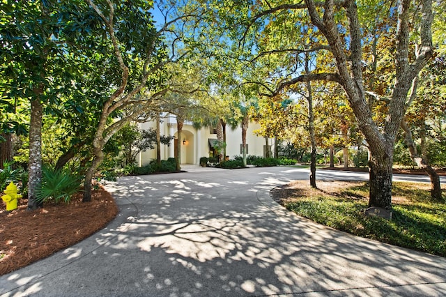 obstructed view of property with curved driveway and stucco siding