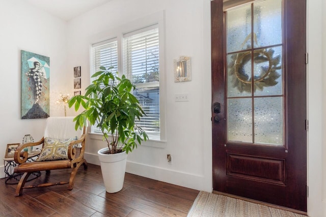 entryway with dark hardwood / wood-style floors