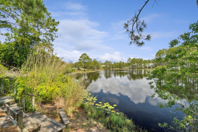 view of water feature