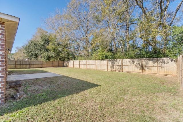 view of yard featuring a patio