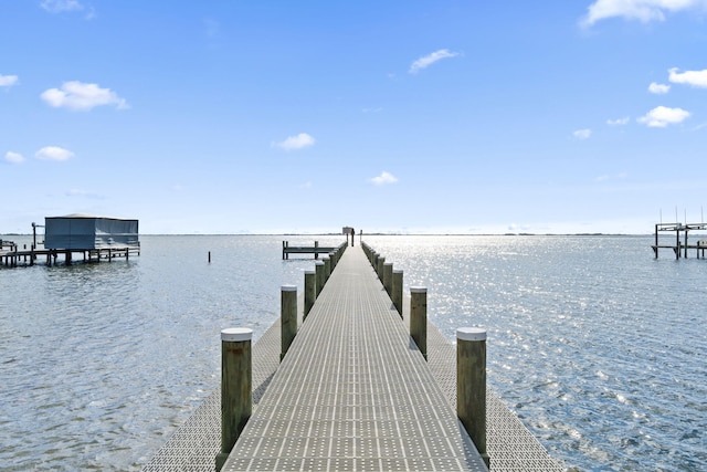 dock area with a water view