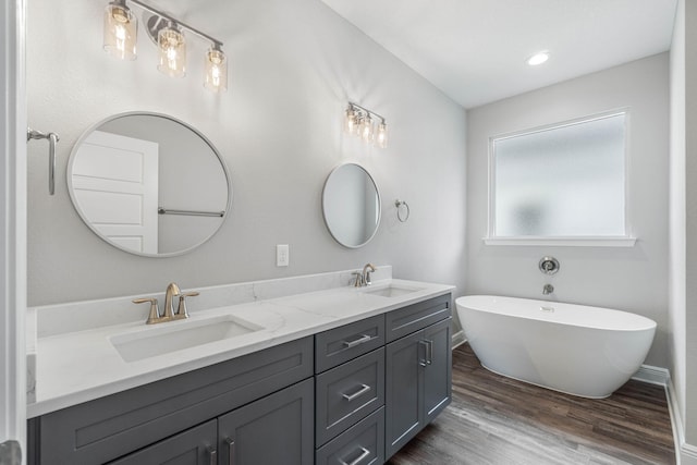 bathroom featuring wood-type flooring, a washtub, and vanity