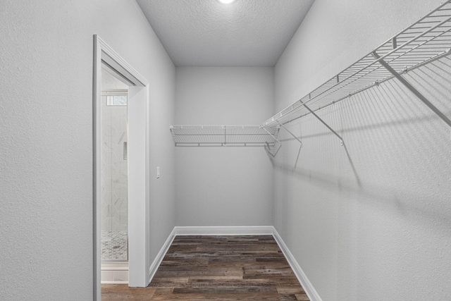 spacious closet with dark hardwood / wood-style flooring