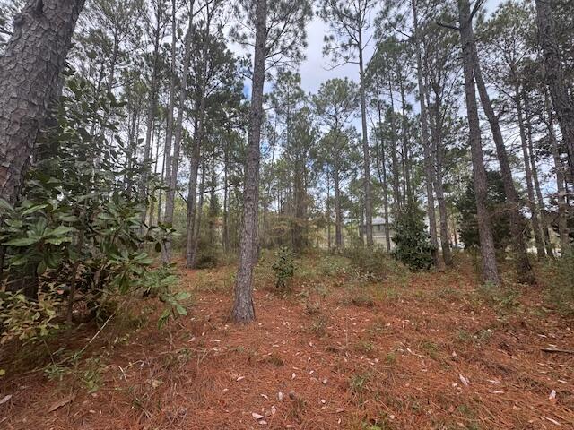 Listing photo 3 for LOT2 Dolphin Cv, Freeport FL 32439