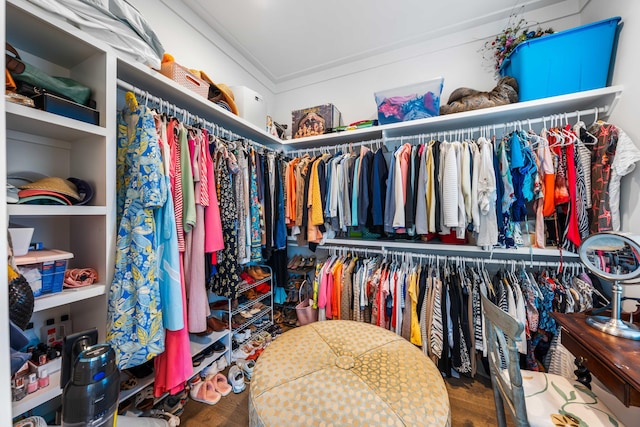 spacious closet featuring hardwood / wood-style flooring