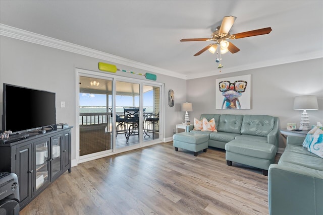 living room with ceiling fan, light wood-type flooring, and crown molding