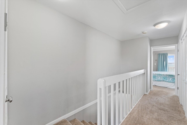 hallway featuring light carpet