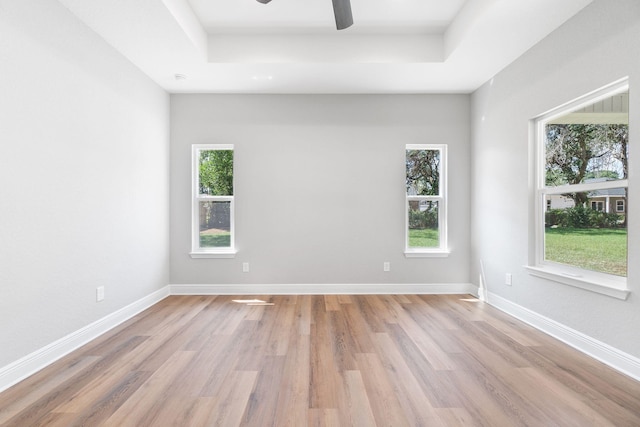 empty room with light hardwood / wood-style floors, a raised ceiling, and plenty of natural light