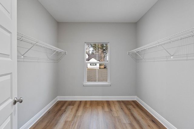 spacious closet featuring wood finished floors