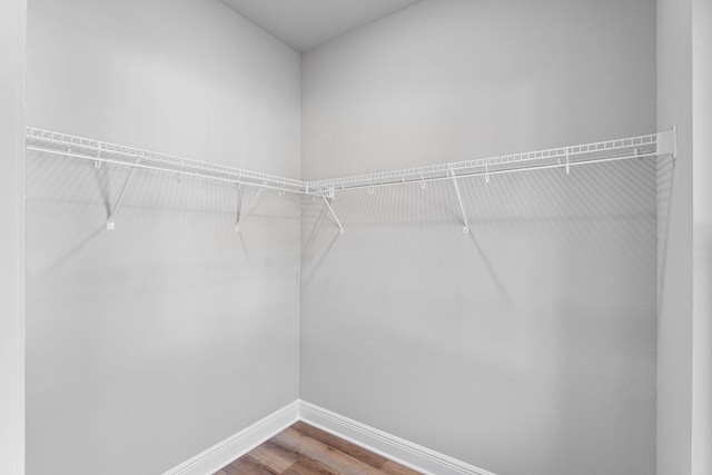 walk in closet featuring wood finished floors