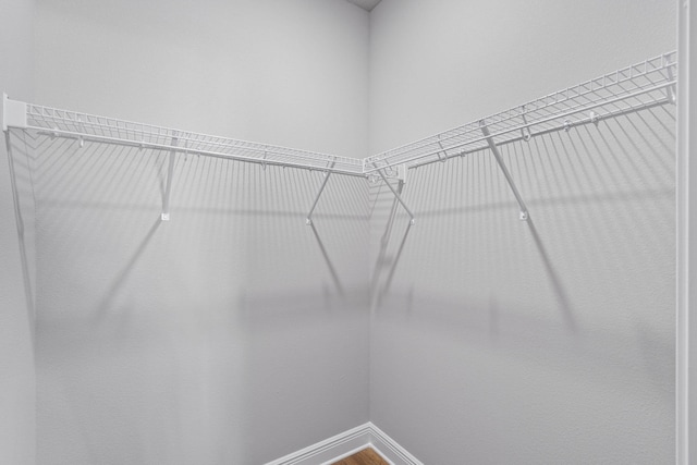 spacious closet featuring wood finished floors