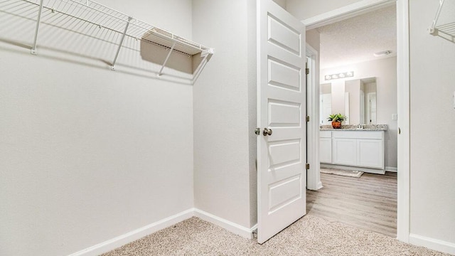 spacious closet featuring light colored carpet