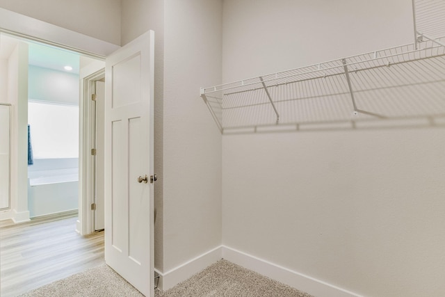 walk in closet with carpet floors