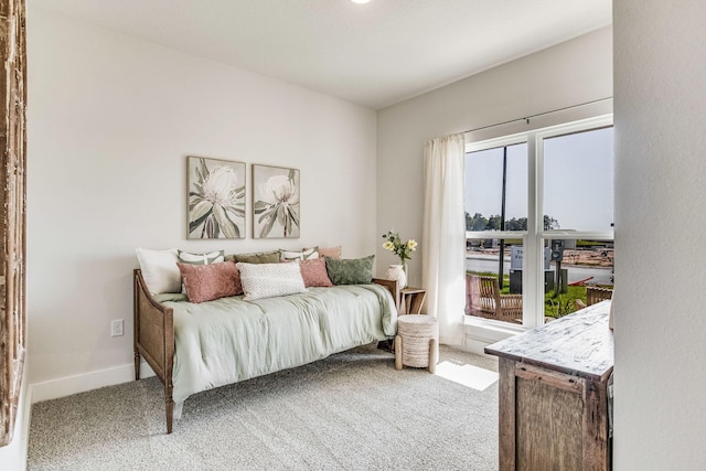 bedroom featuring carpet flooring