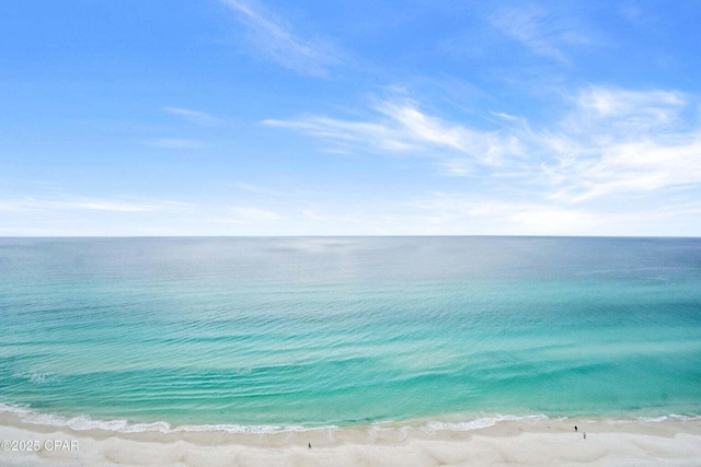 property view of water featuring a beach view