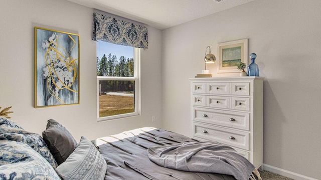 bedroom with carpet