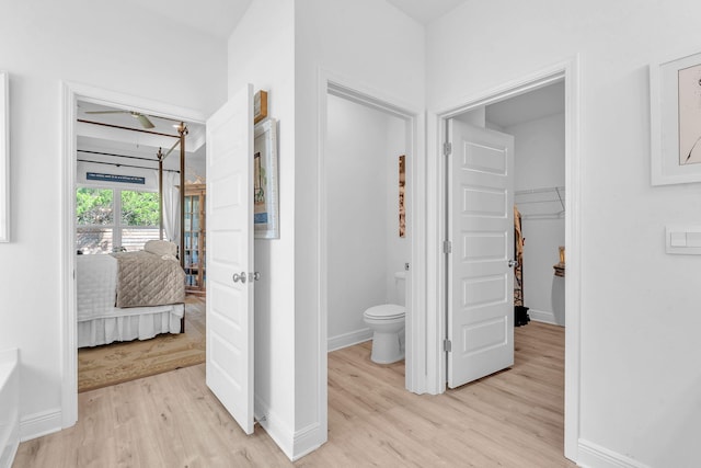 hall featuring light hardwood / wood-style floors