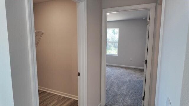 corridor with dark hardwood / wood-style floors