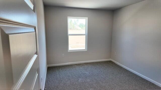 empty room featuring carpet floors and a wealth of natural light