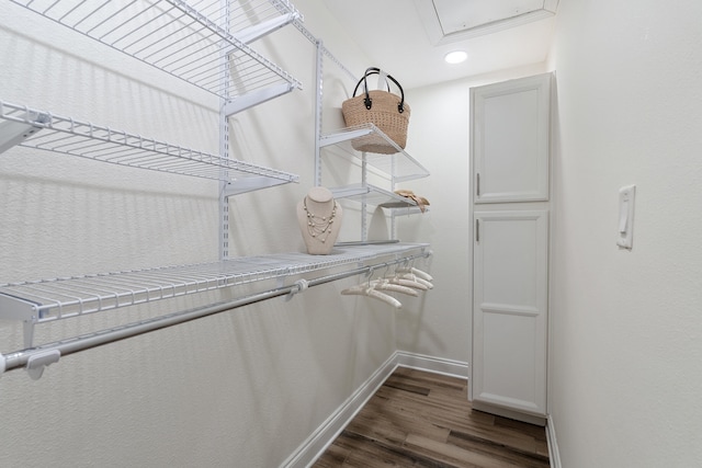 spacious closet featuring dark hardwood / wood-style floors