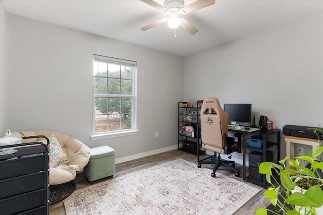 home office featuring ceiling fan, light hardwood / wood-style floors, and a textured ceiling