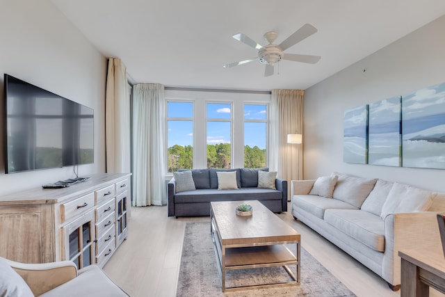 living room featuring ceiling fan and light hardwood / wood-style floors