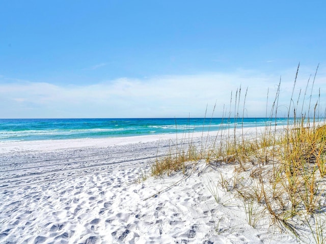 water view featuring a beach view