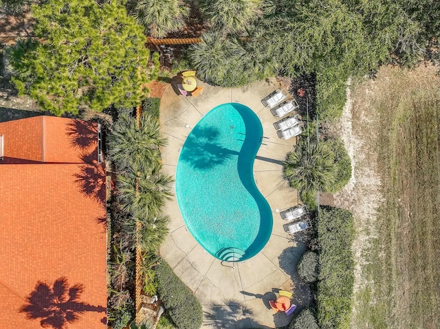 view of swimming pool