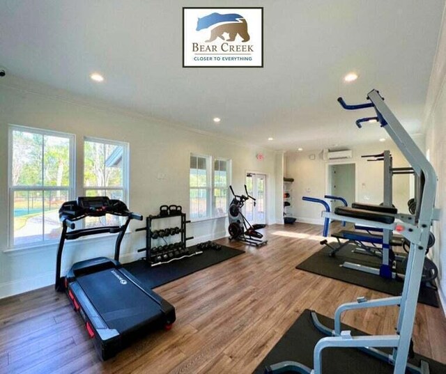 workout area featuring wood-type flooring, a wall mounted AC, and ornamental molding