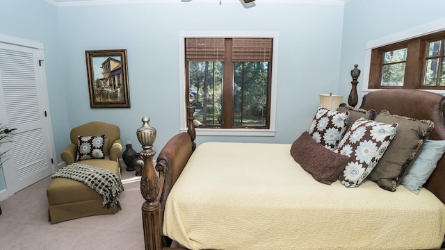 carpeted bedroom featuring crown molding, a closet, and ceiling fan