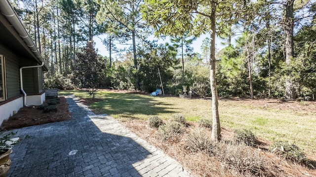 view of yard featuring a patio area