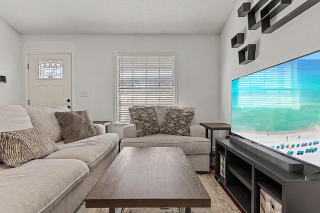 living room with a textured ceiling