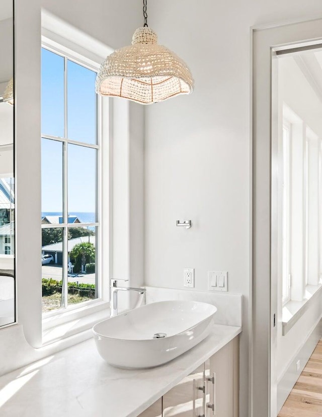 bathroom with hardwood / wood-style flooring and sink