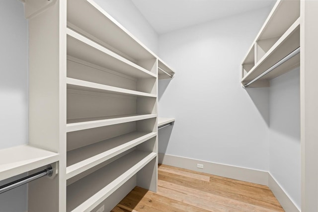 29 Thyme St, Santa Rosa Beach, FL 32459 - spacious closet with light wood-style floors