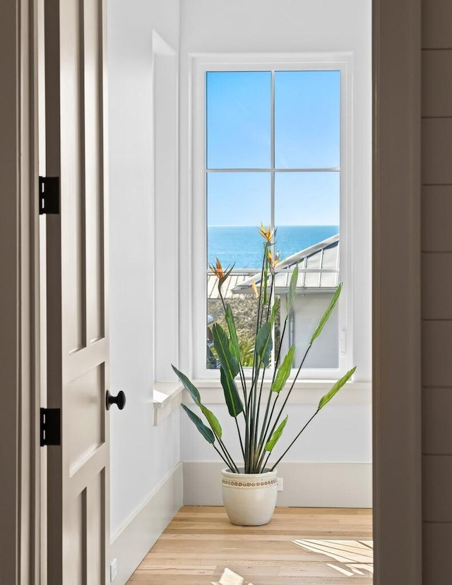29 Thyme St, Santa Rosa Beach, FL 32459 - detailed view of nearby water and baseboards